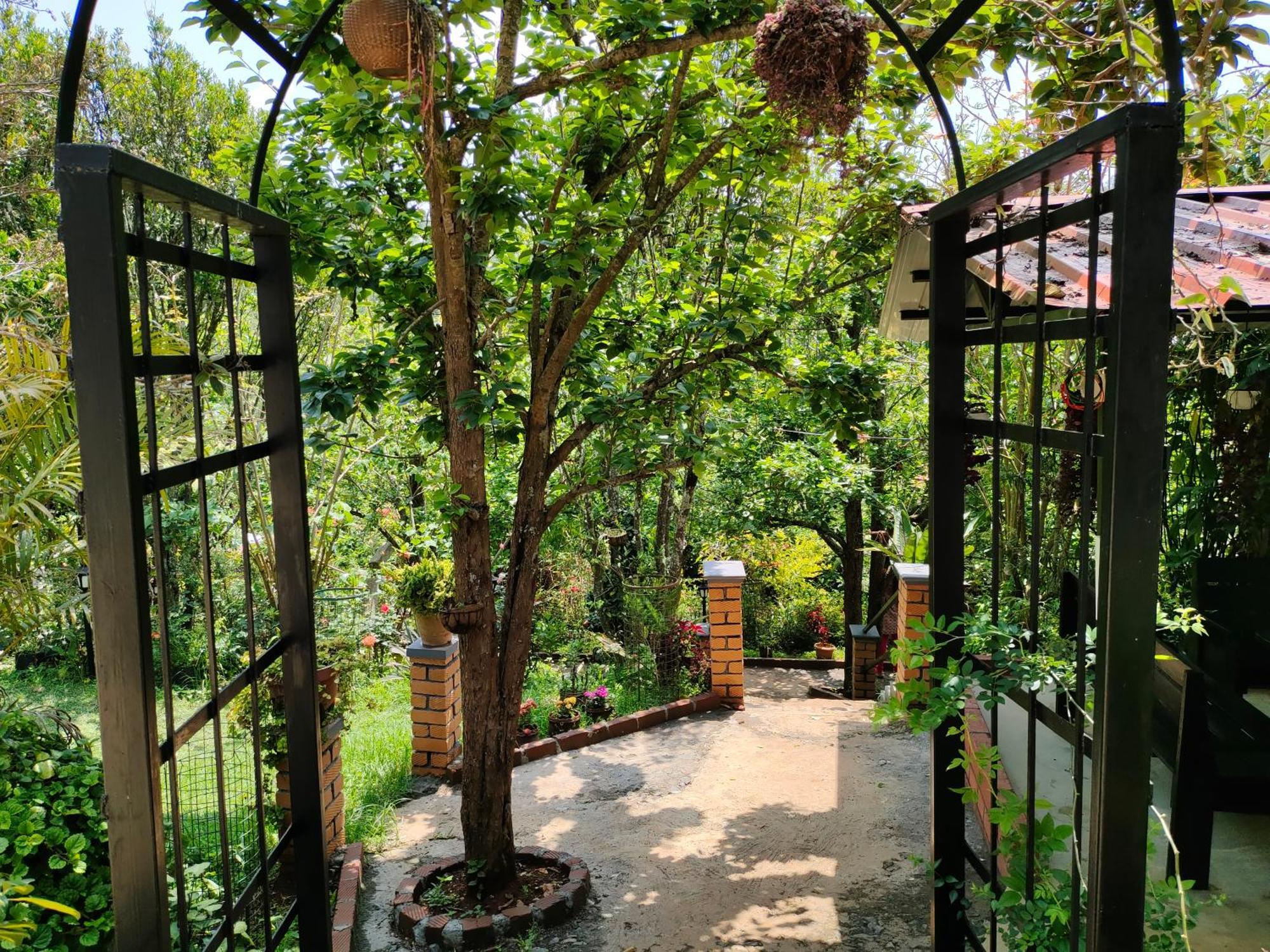 Pear Tree Entire 2Bhk Villa كوتاغيري المظهر الخارجي الصورة