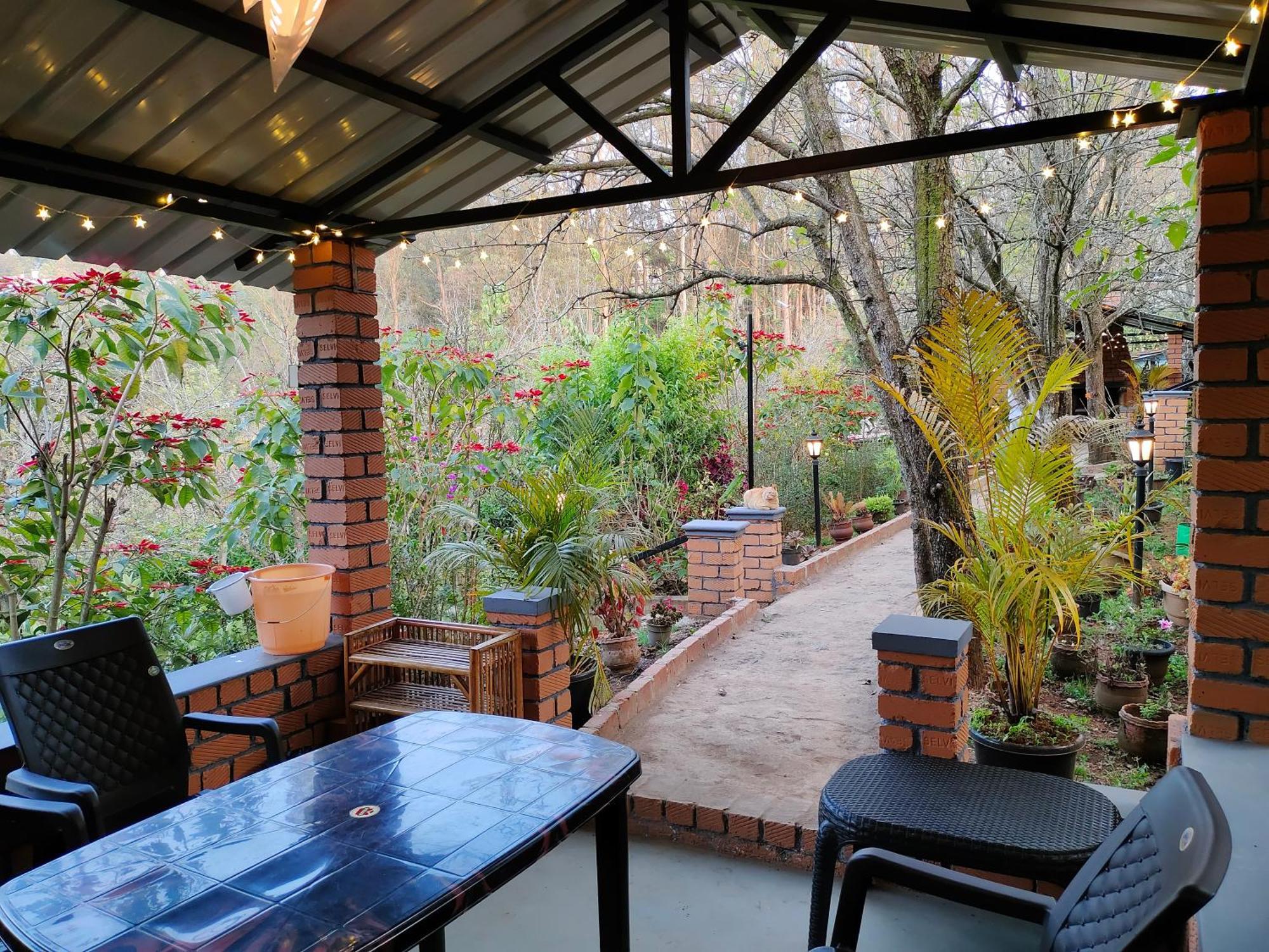 Pear Tree Entire 2Bhk Villa كوتاغيري المظهر الخارجي الصورة
