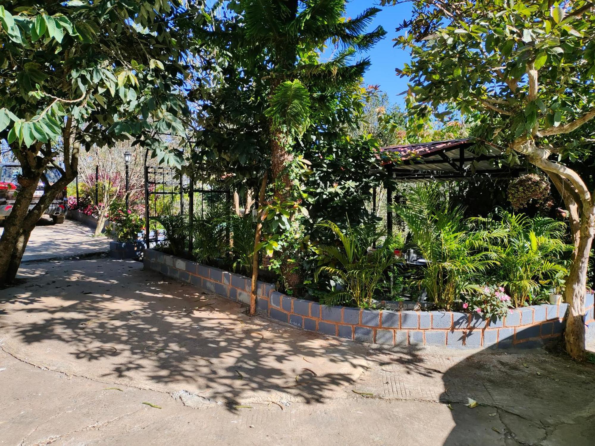 Pear Tree Entire 2Bhk Villa كوتاغيري المظهر الخارجي الصورة